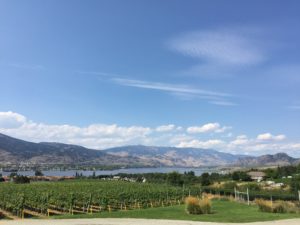 A photo of the backyard of Moon Curser Vineyards that overlooks a field of growing grapes